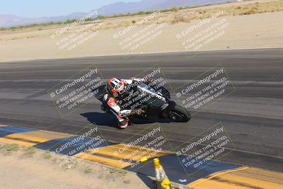 media/Nov-12-2023-SoCal Trackdays (Sun) [[5d1fba4e7d]]/Turn 14 Inside (2pm)/